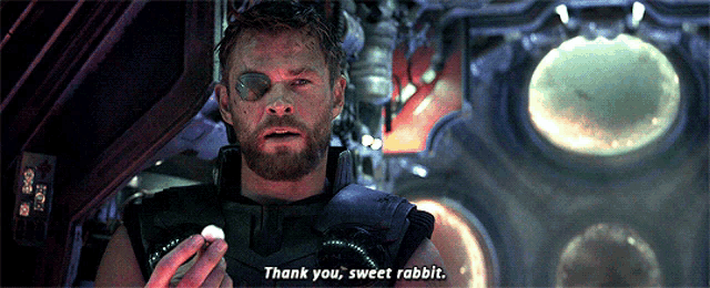 thor says thank you sweet rabbit while holding a rabbit