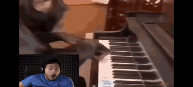 a man in a blue shirt is sitting in front of a piano keyboard with a cat behind him .