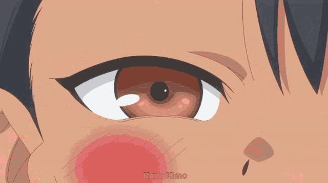 a close up of a girl 's face with the name momo kimo on the bottom right