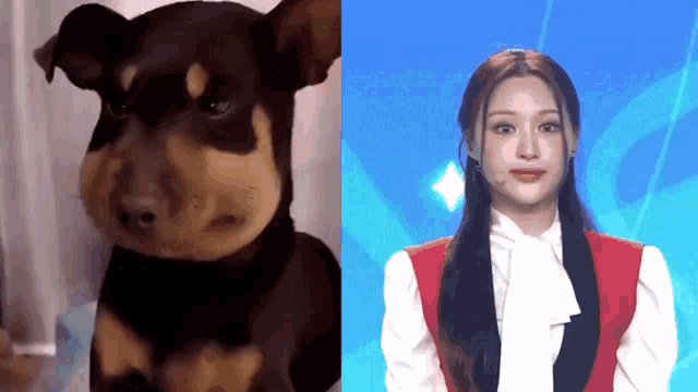 a dog and a woman are sitting next to each other .