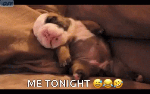 Bull Dog Puppy GIF - Bull Dog Puppy Nap Time GIFs