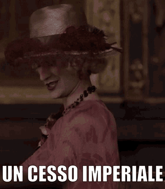 a woman wearing a hat and a pink dress says un cesso imperiale