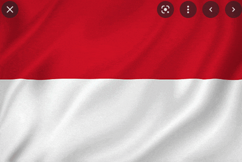 a red and white flag is displayed with a x and x buttons