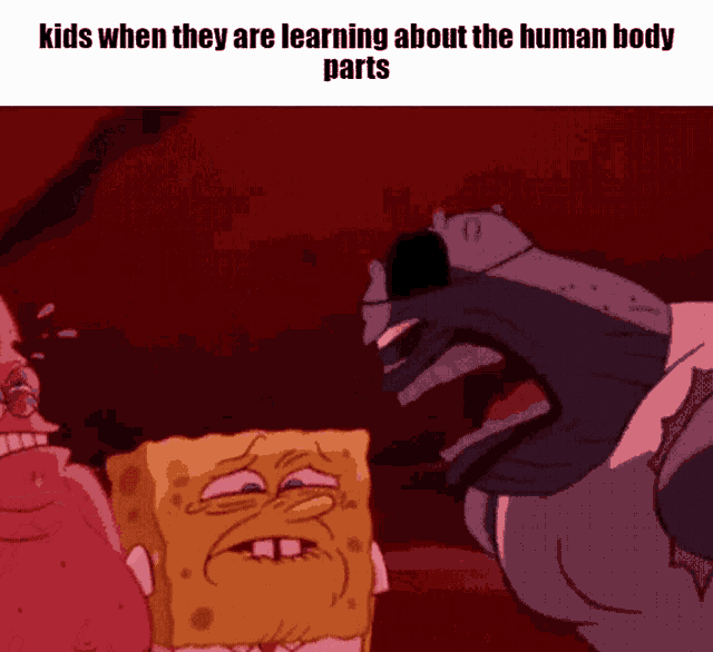a cartoon of spongebob and patrick saying kids when they are learning about human body parts