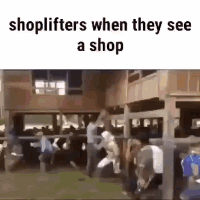 Shoplifters Funny GIF - Shoplifters Funny GIFs