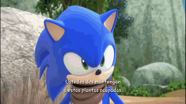 Sonamy Sonic GIF - Sonamy Sonic Ustedes Dos Mantengan GIFs