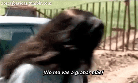 a woman with her hair blowing in the wind is saying no me vas a grabar mas