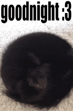 a picture of a black cat with the words goodnight : 3 below it