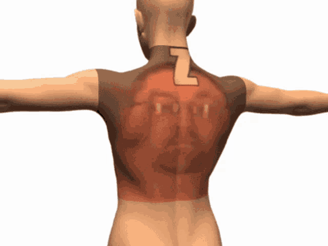 the back of a man with the letter z on it