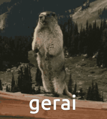 a ground squirrel standing on its hind legs with the word geral written on the bottom