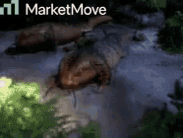 Marketmove Crocodile GIF - Marketmove Move Crocodile GIFs