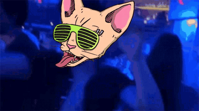 a cat wearing sunglasses is flying through the air at a party