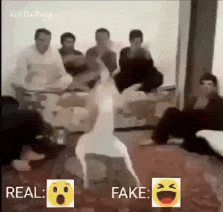 a group of people are sitting around a table and one of them is dancing in front of them