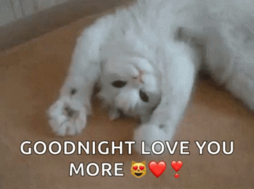 Love Goodnight GIF - Love Goodnight Love You More GIFs