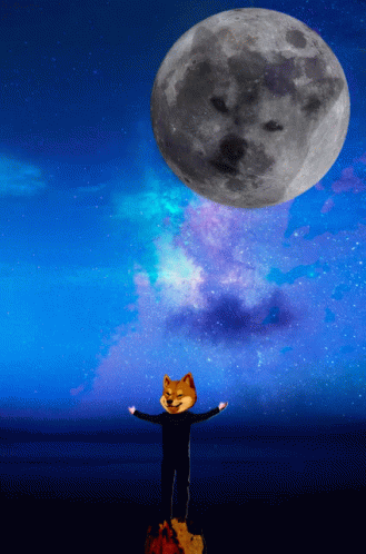Doge Moon GIF - Doge Moon Djdoge GIFs