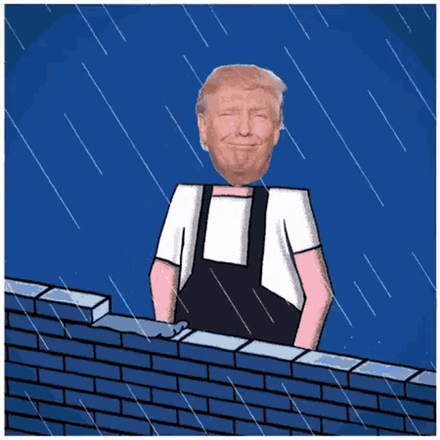 Go Ahead And Build A Wall Danold Duck Construct GIF - Go Ahead And Build A Wall Danold Duck Construct Wall GIFs