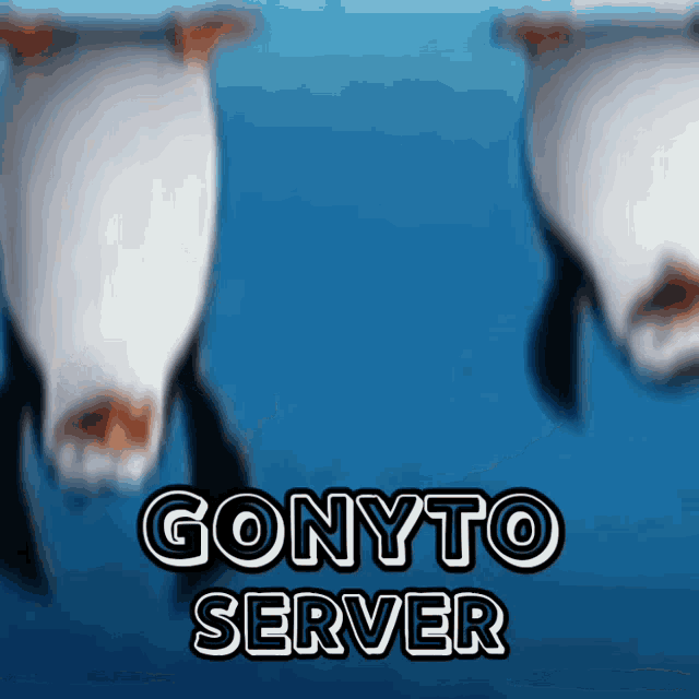 a blue background with two cows and the words gonyto server