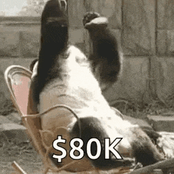 a panda bear is sitting in a chair with its paws in the air and says `` $ 80k '' .