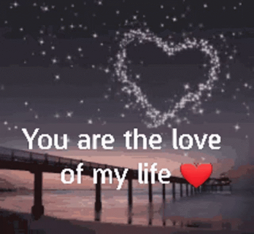 Love You I Love You GIF - Love You I Love You You Are The Love Of My Life GIFs