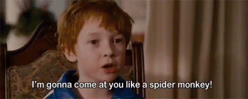 Comin For Ya GIF - Im Gonna Come At You Spider Monkey Threat GIFs