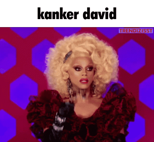 a drag queen is wearing a red dress with roses and the words kanker david above her .