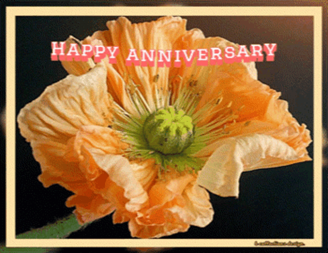 a flower with the words happy anniversary written above it