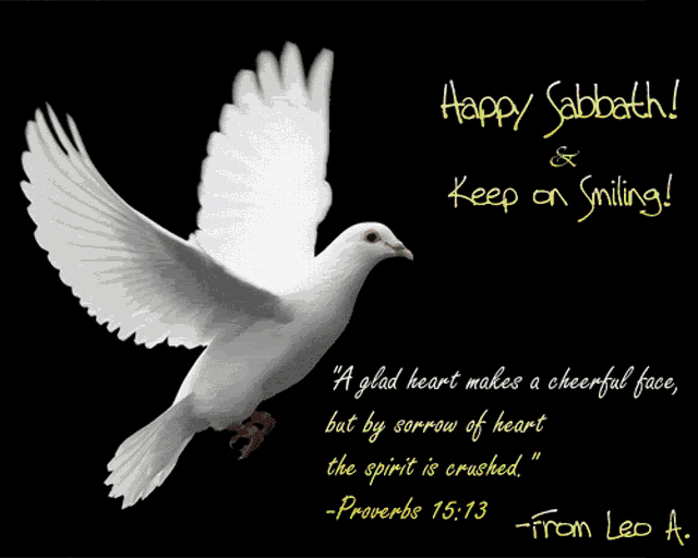 a picture of a white dove with a quote from proverbs
