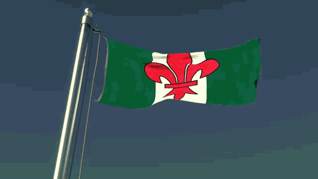 a green white and red flag with a red lily on it