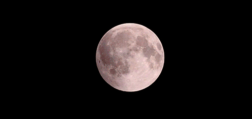 "Blood Moon" Eclipse Last Night GIF - Science Cool Moon GIFs