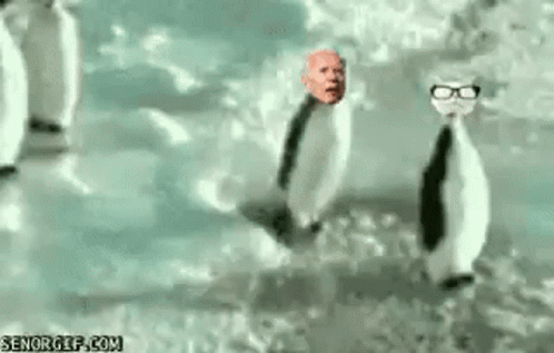 Senile Biden Joe Biden GIF - Senile Biden Joe Biden Slow Biden GIFs