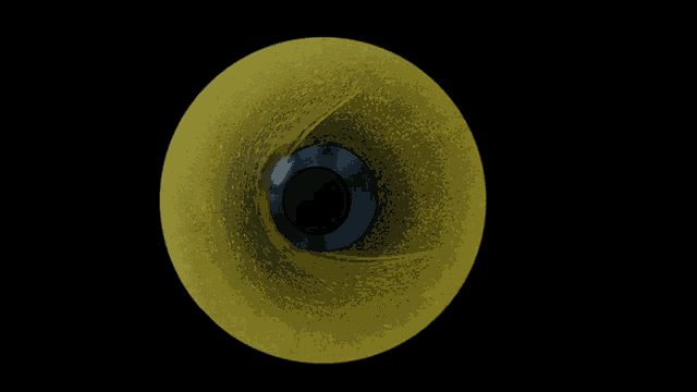 a yellow circle on a black background with a black center