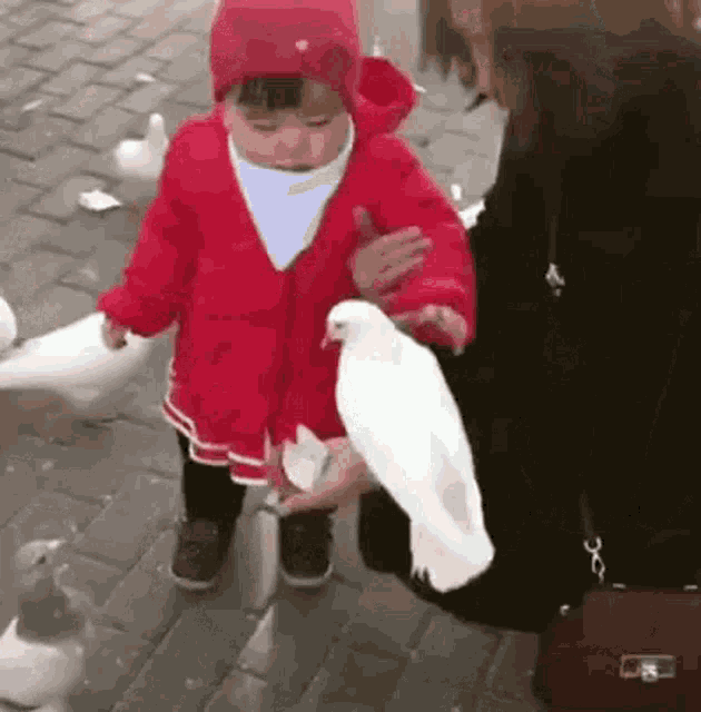 My Favorite Thats Mine GIF - My Favorite Thats Mine Dove GIFs