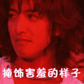 a close up of a woman 's face with chinese writing on the bottom right