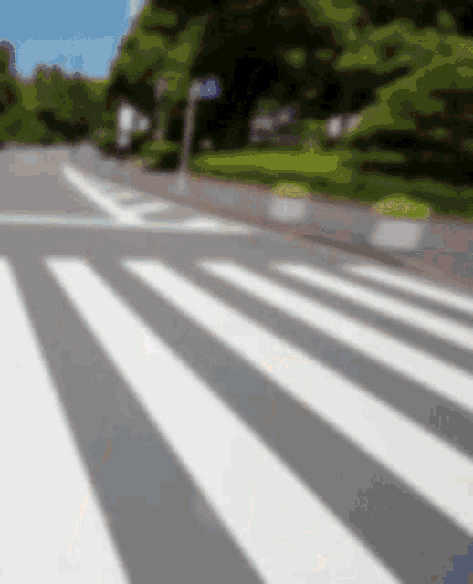 a blurry picture of a crosswalk on a street with trees in the background