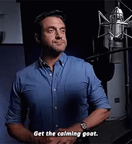 Get The Calming Goat Raulesparza GIF - Get The Calming Goat Raulesparza Goat GIFs