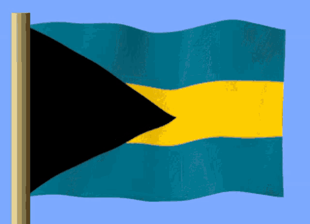 a blue and yellow flag with a black triangle on the right side