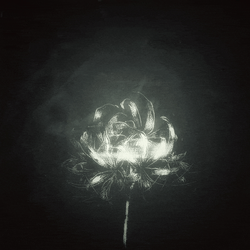 a black and white drawing of a flower with a white center