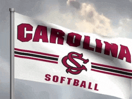 a carolina softball flag flying in the wind