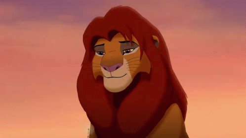 The Lion King Confused GIF - The Lion King Confused Doubt GIFs