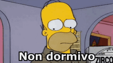 homer simpson from the simpsons is standing in front of a pile of newspapers and says non dormivo zirco .