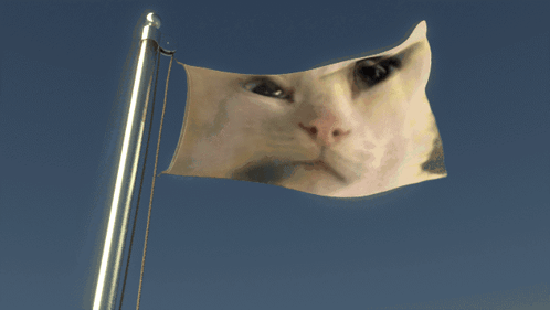 Nepunator Cat GIF - Nepunator Cat Flag GIFs
