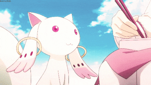 a picture of a cat with the words madoka sunday madoka sunday on it