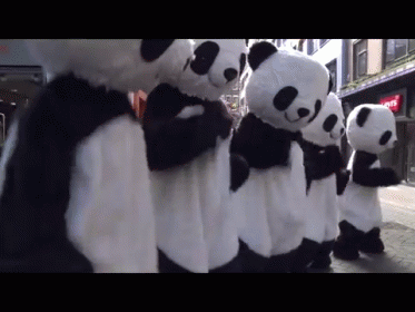 Panda Gang GIF - Pandas Panda Mafia Dance GIFs