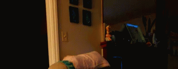 Toes Room GIF - Toes Room GIFs