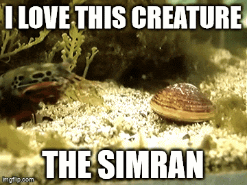 a picture of a fish and a seashell with the caption i love this creature the simran