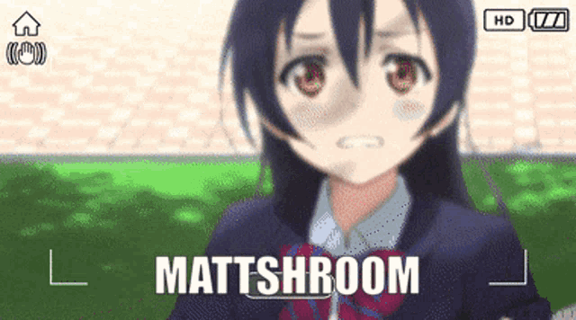 a cartoon of a girl with the words mattshroom written above her