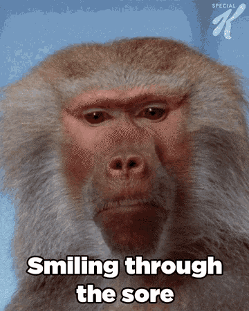Smiling Through The Sore Smile GIF - Smiling Through The Sore Smile Monkey GIFs