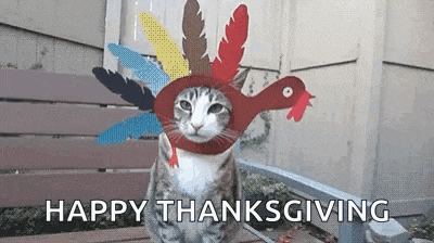a cat wearing a turkey hat is sitting on a bench and wishing everyone a happy thanksgiving .