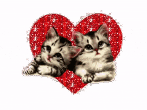 two kittens laying next to a red heart on a pink background