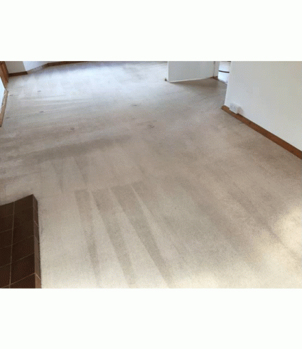 Dry Carpet Cleaner Upholstery Cleaning GIF - Dry Carpet Cleaner Upholstery Cleaning GIFs